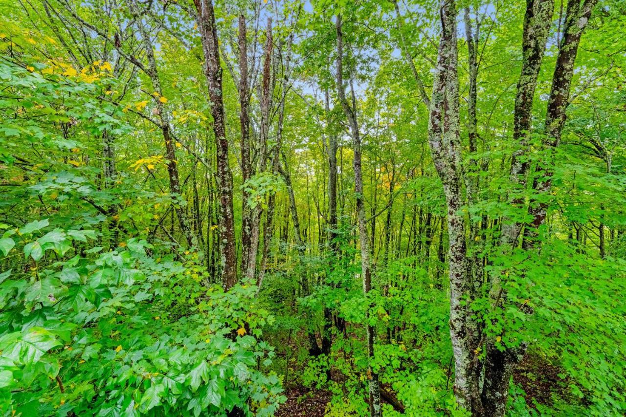 Laurel Haven Daire Banner Elk Dış mekan fotoğraf
